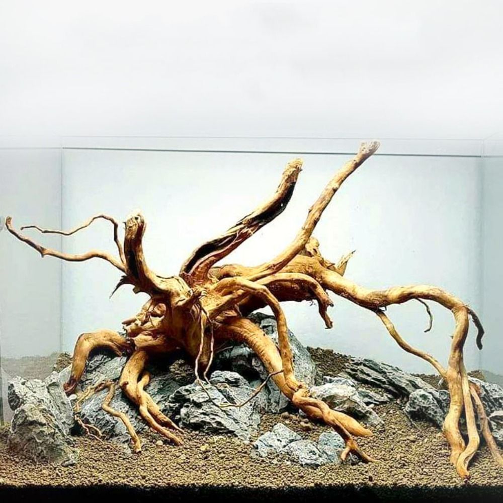 Marine Aquarium Hobby - Natürliche Baumstamm Aquarium Dekoration Holz Kunstwerk