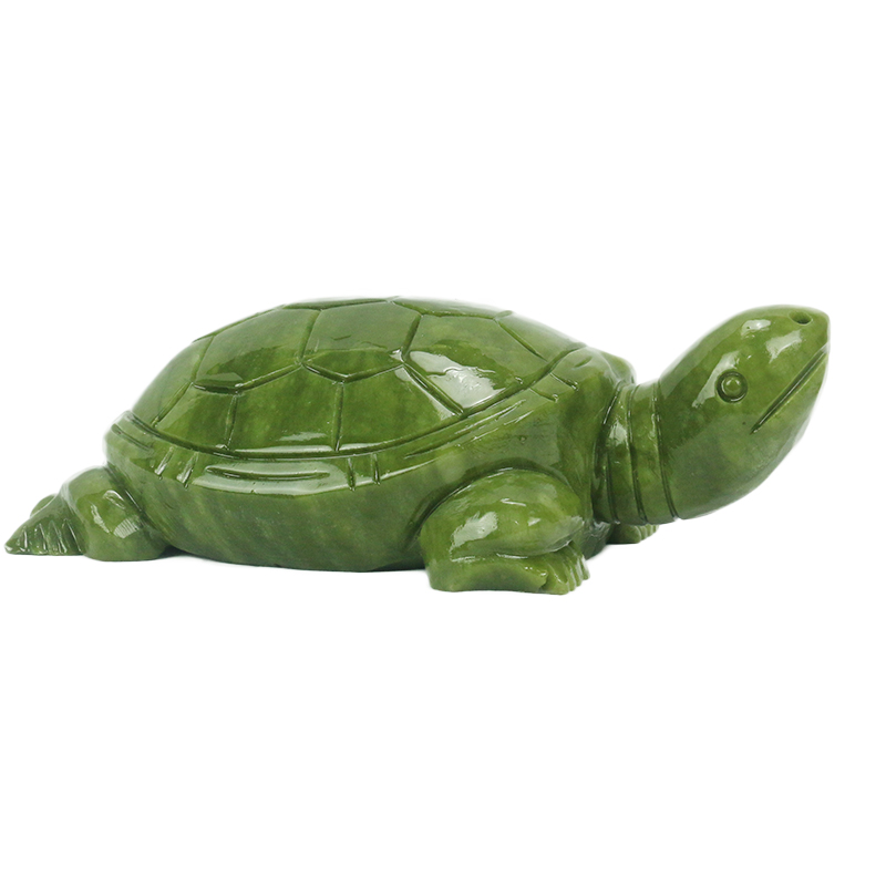 Natürliche Jade/Schildkröte Sk – Aquarium Marine Fish Bewertung und Preis