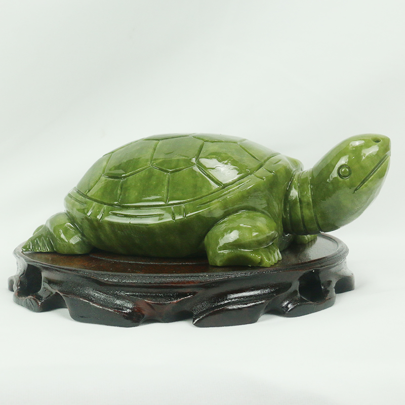 Natürliche Jade/Schildkröte Sk – Aquarium Marine Fish Bewertung und Preis