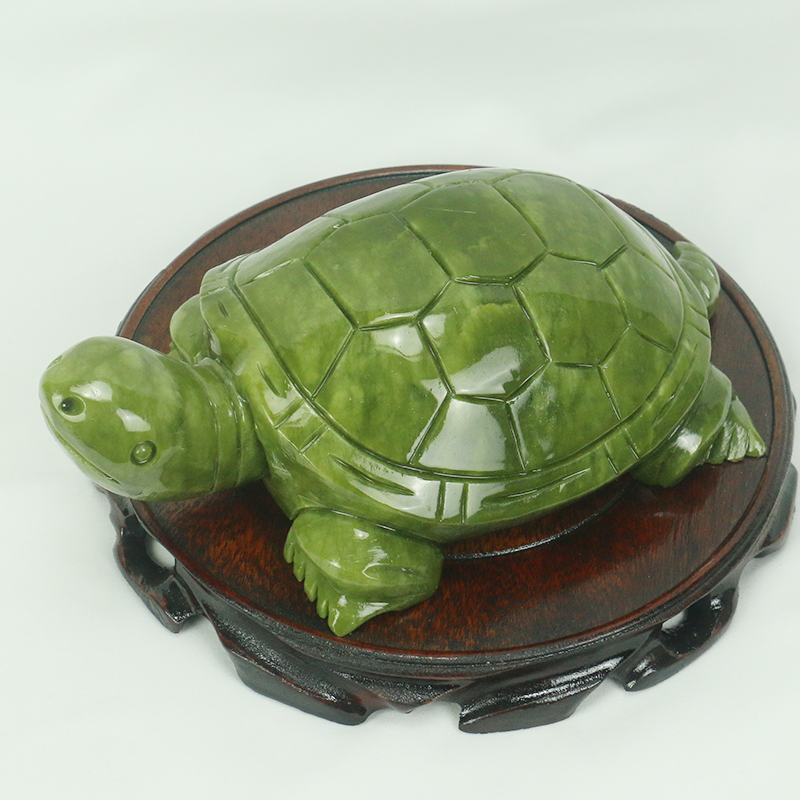 Natürliche Jade/Schildkröte Sk – Aquarium Marine Fish Bewertung und Preis