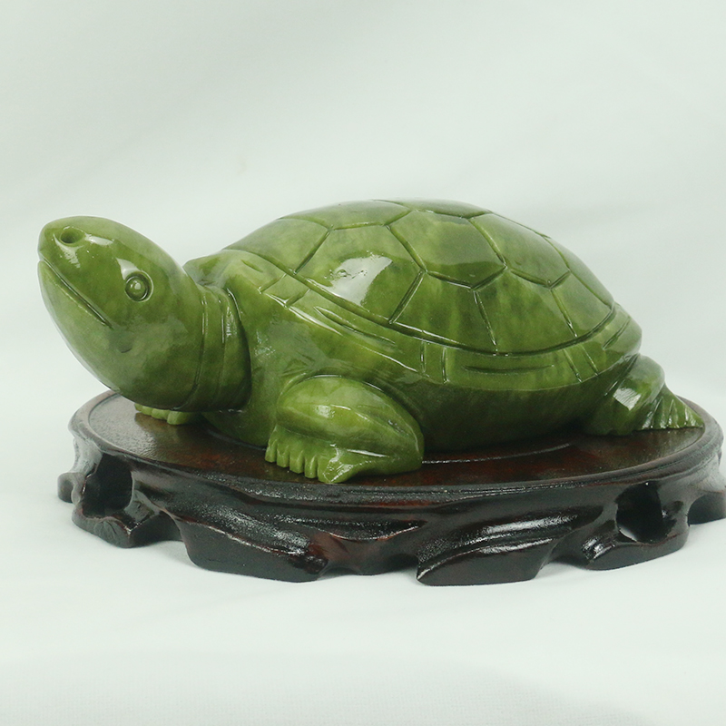 Natürliche Jade/Schildkröte Sk – Aquarium Marine Fish Bewertung und Preis