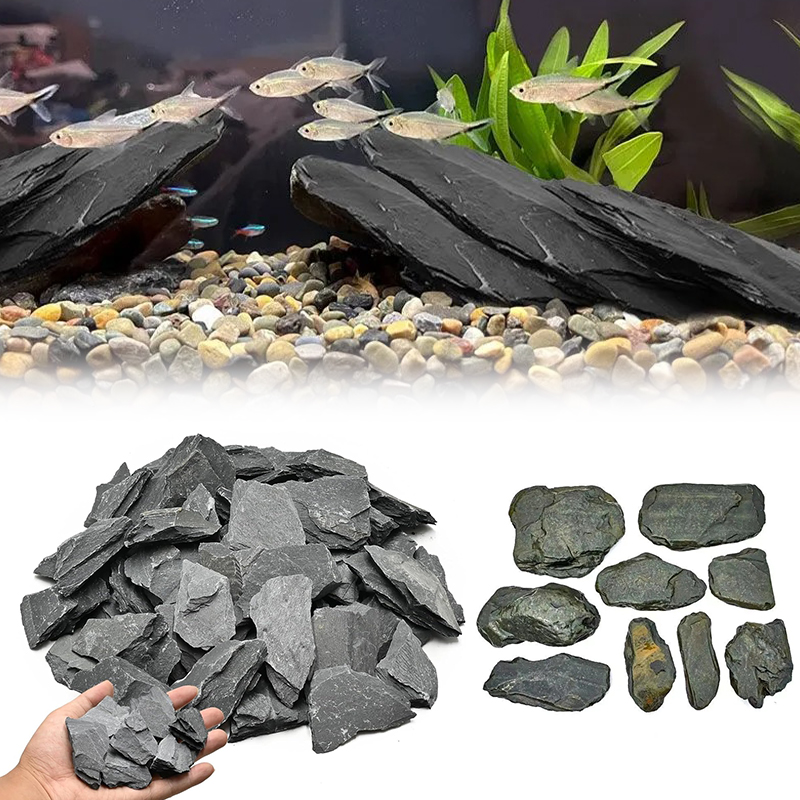 500/1000g Aquarium-Landschafts – Aquarium Marine Fish Bewertung und Preis