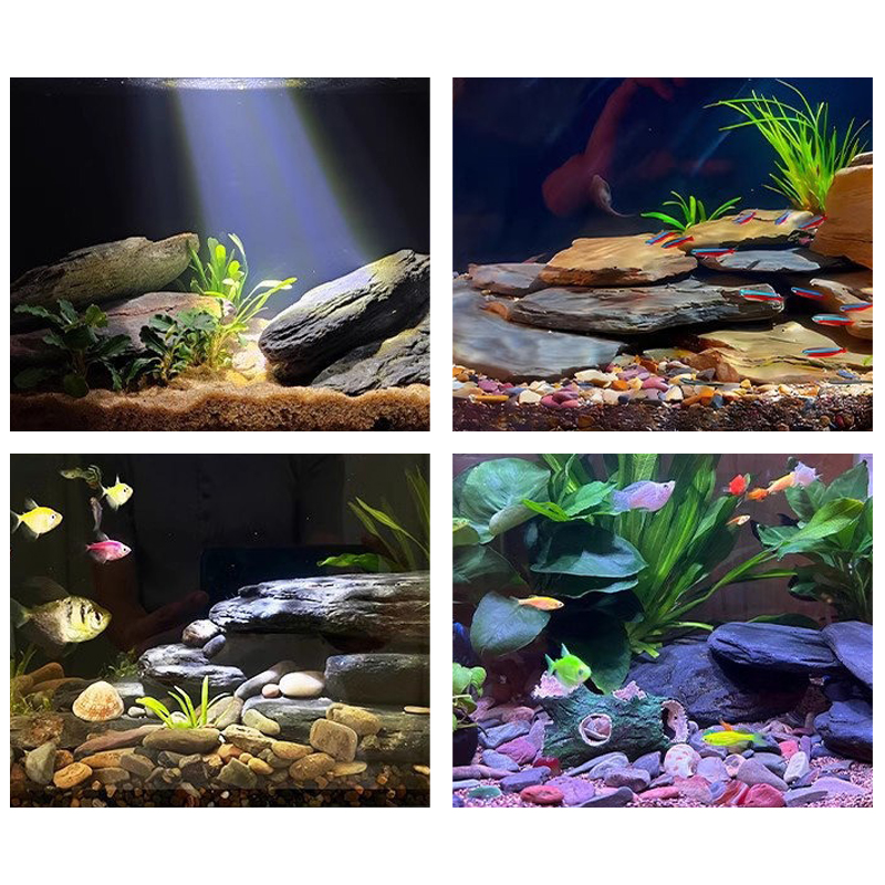 500/1000g Aquarium-Landschafts – Aquarium Marine Fish Bewertung und Preis