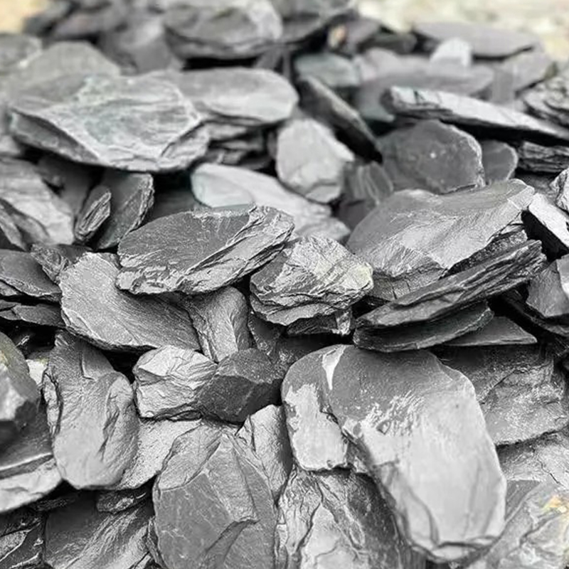 500/1000g Aquarium-Landschafts – Aquarium Marine Fish Bewertung und Preis