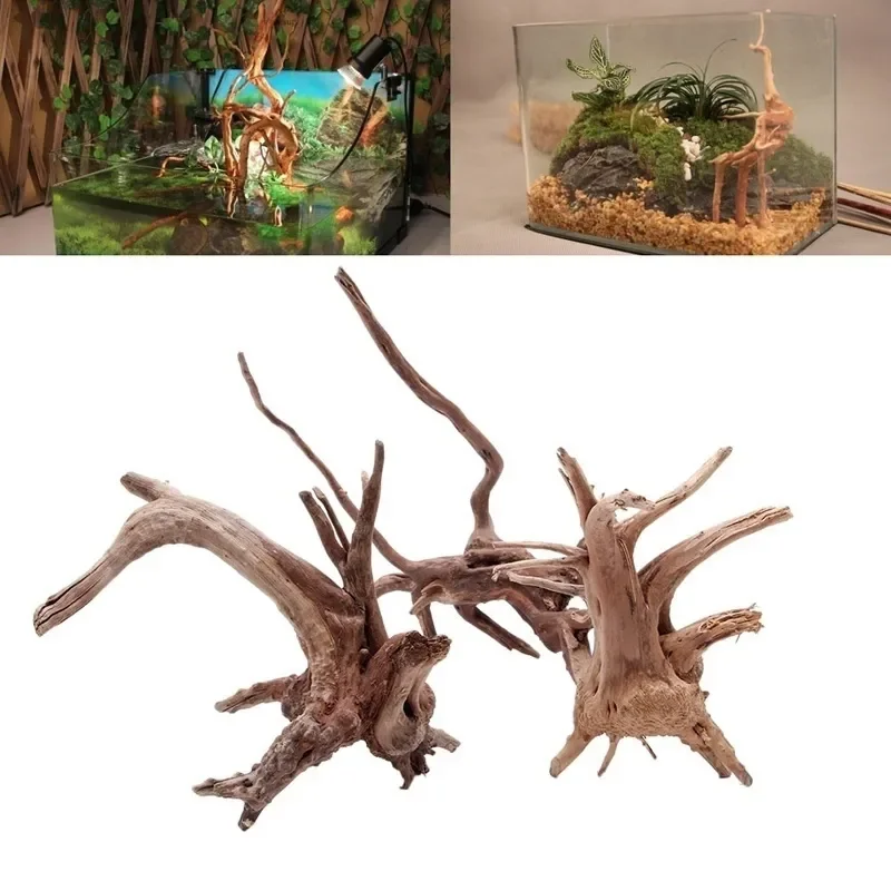 Natürlicher Baumstamm Treibhol – Marine Aquarium Hobby Bewertung und Preis
