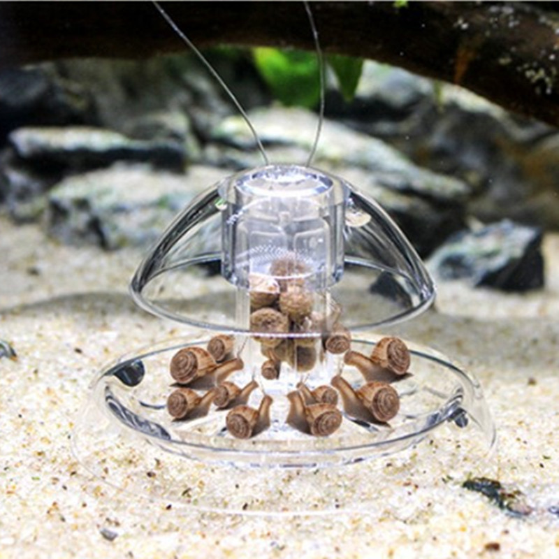 1 Stück Aquarium Aquarium Rein – Marine Aquarium Glass Cleaner Bewertung und Preis