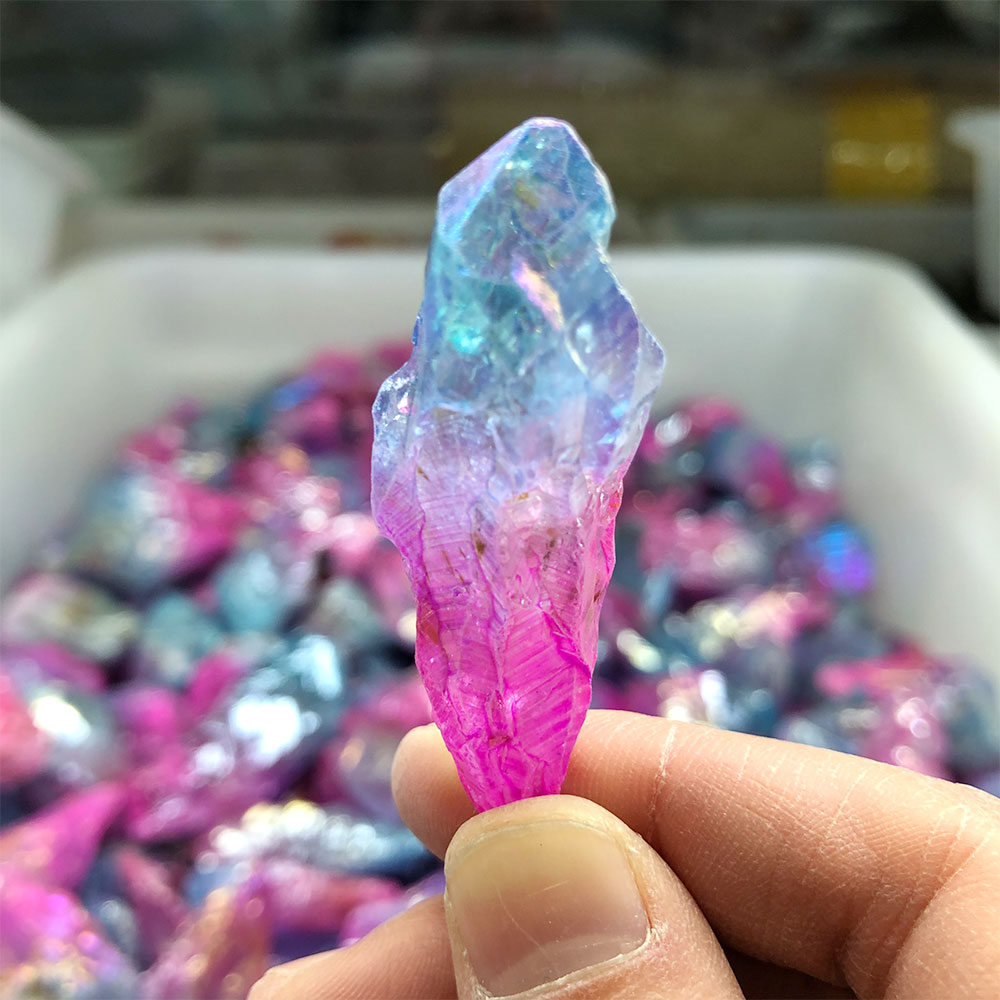 1pc Zufällig Galvani Rosa Blau – Marine Aquarium Hobby Bewertung und Preis
