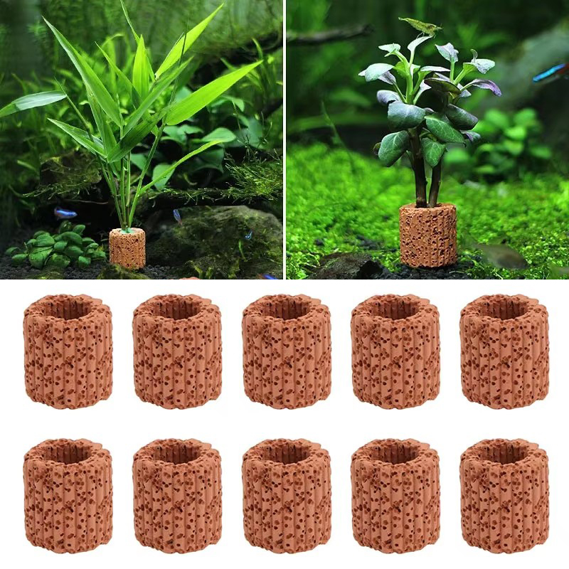 Fester Ring für Wasserpflanzen – Marine Aquarium Hobby Bewertung und Preis