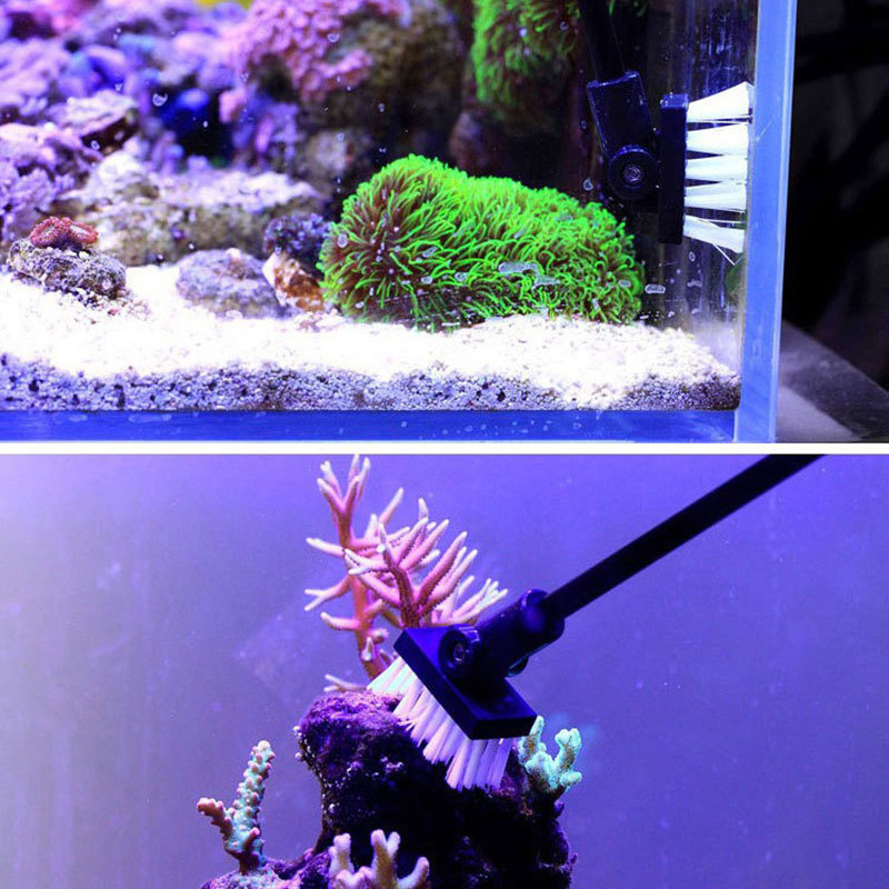 Angeln Reinigung Pinsel Anlage – Marine Aquarium Glass Cleaner Bewertung und Preis