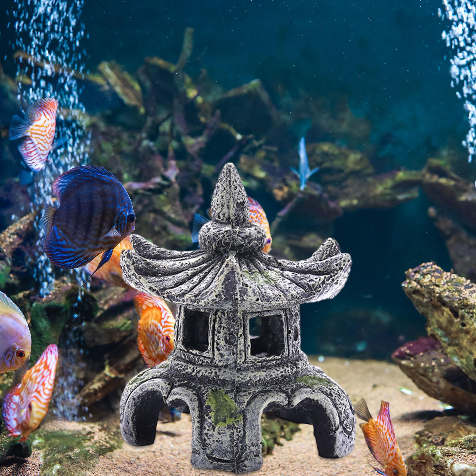 Aquarium Ornament Aquarium Zub – Marine Aquarium Hobby Bewertung und Preis