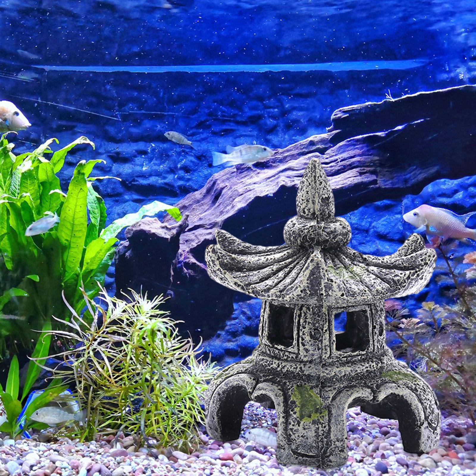 Aquarium Ornament Aquarium Zub – Marine Aquarium Hobby Bewertung und Preis