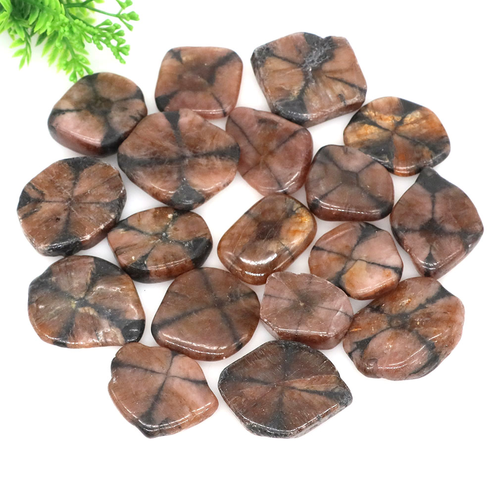 Natürliche Kreuz-Chiastolith-Q – Aquarium Marine Stone Bewertung und Preis