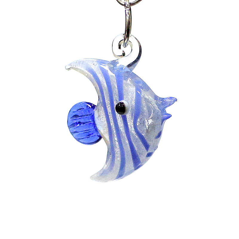 2-teiliges süßes Seefisch-Char – Marine Aquarium Hobby Bewertung und Preis