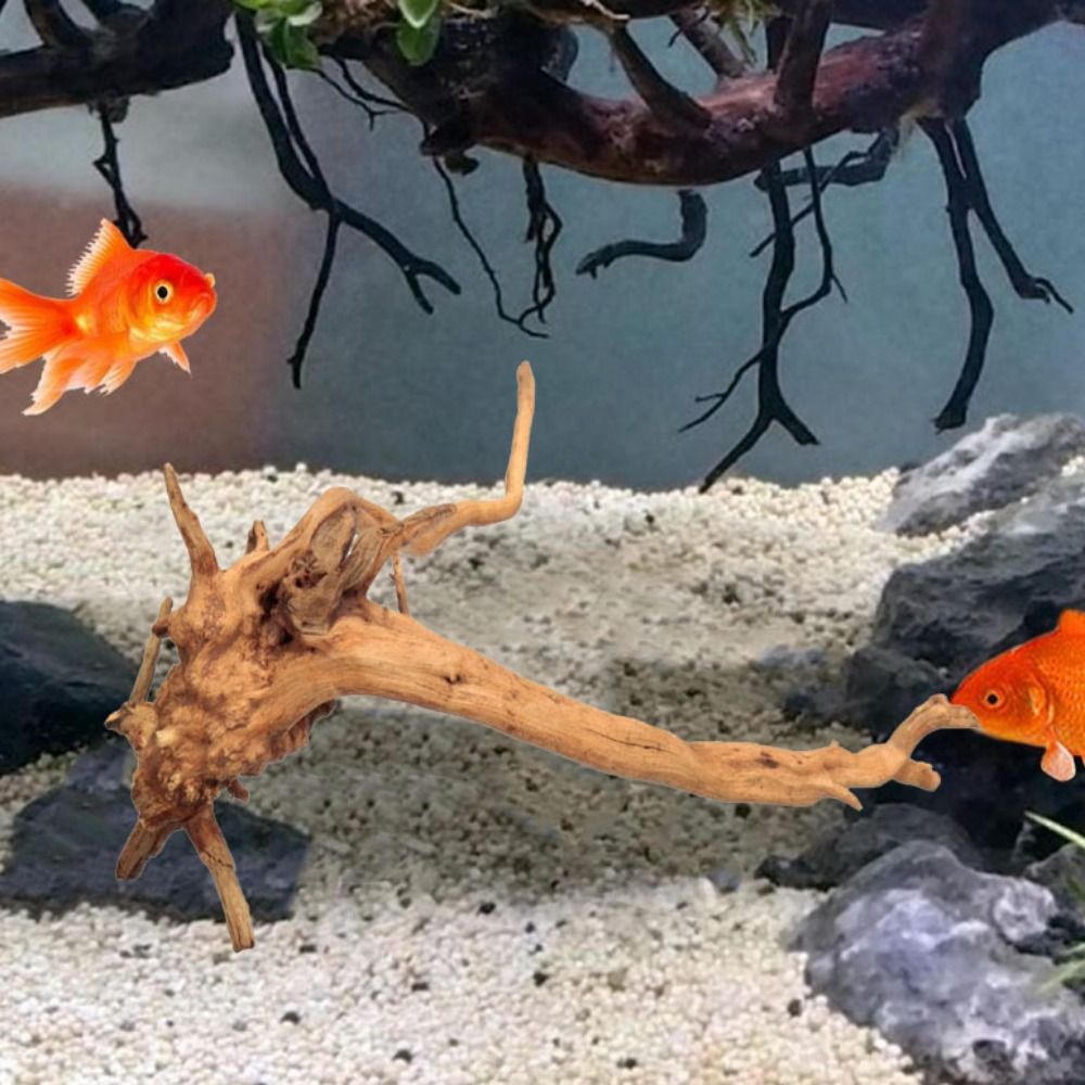 Natürliche Baumstamm Aquarium  – Marine Aquarium Hobby Bewertung und Preis