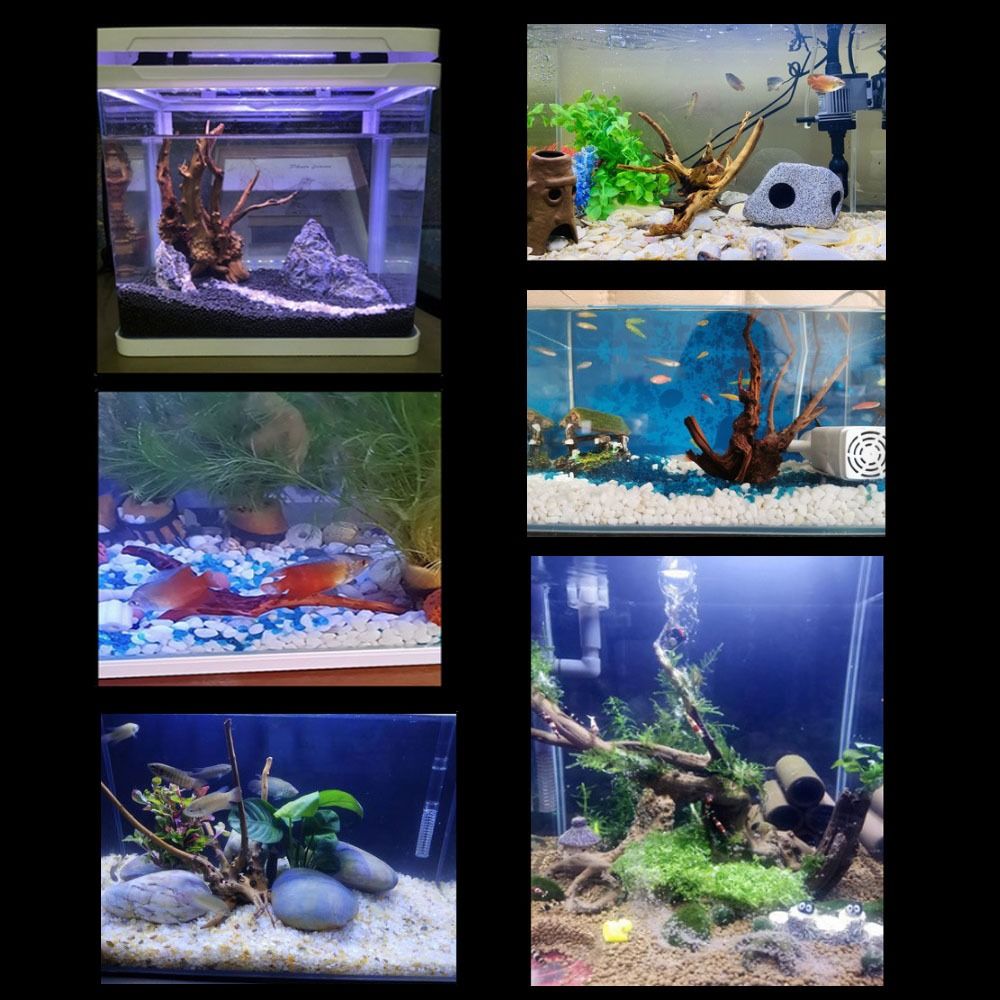 Natürliche Baumstamm Aquarium  – Marine Aquarium Hobby Bewertung und Preis