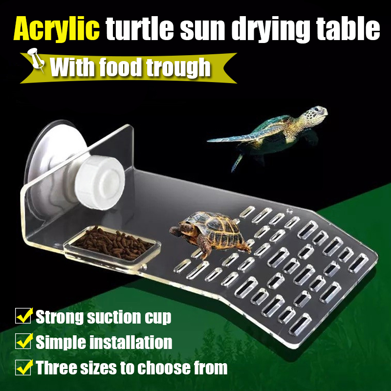 1PC S/M/L Größe Schildkröte Pl – Marine Aquarium Hobby Bewertung und Preis