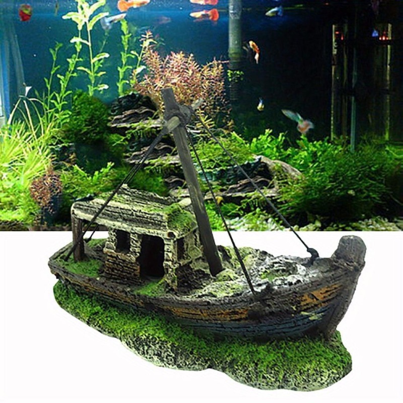 Aquarium Aquarium Landschaft W – Aquarium Marineland Bewertung und Preis