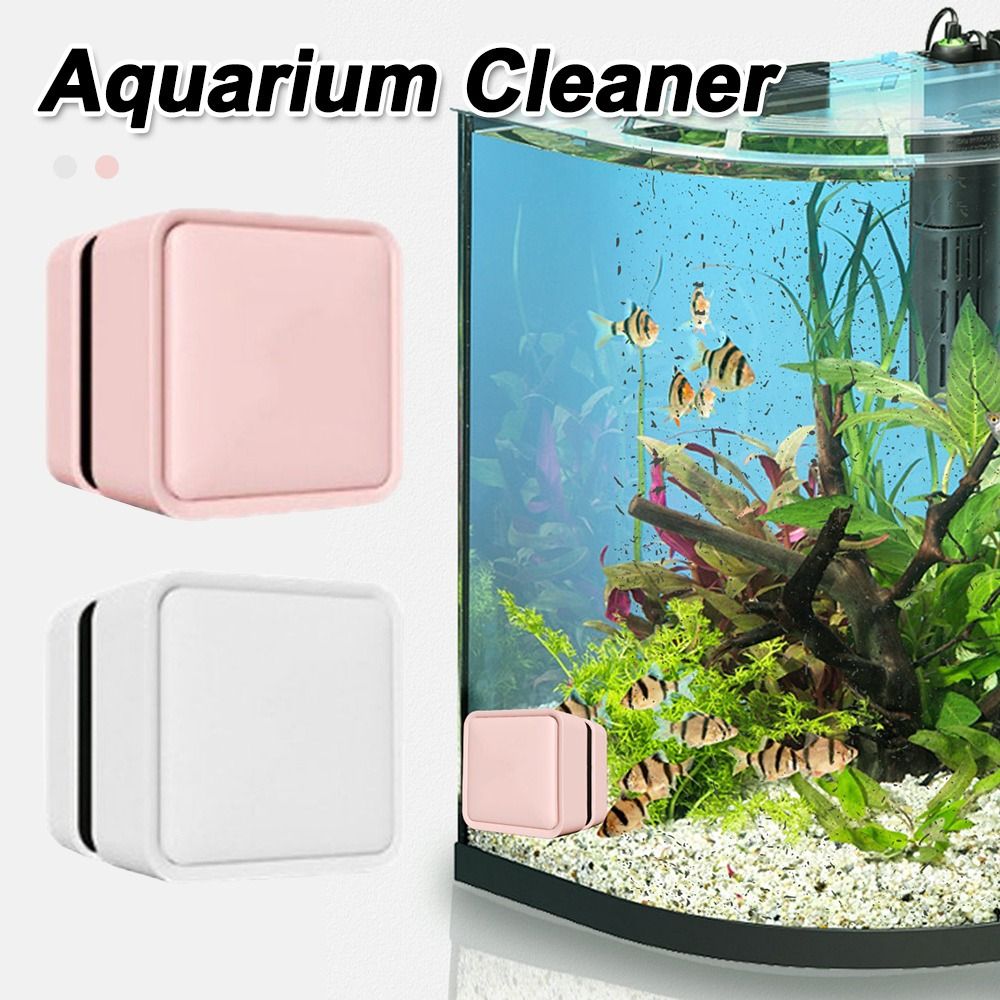 Magnetische Aquarium-Glasreini – Marine Aquarium Glass Cleaner Bewertung und Preis