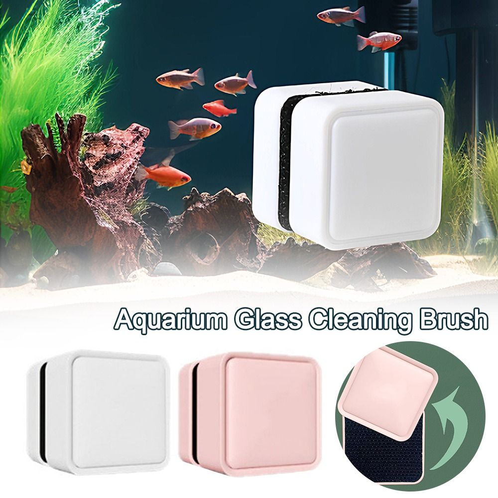 Magnetische Aquarium-Glasreini – Marine Aquarium Glass Cleaner Bewertung und Preis