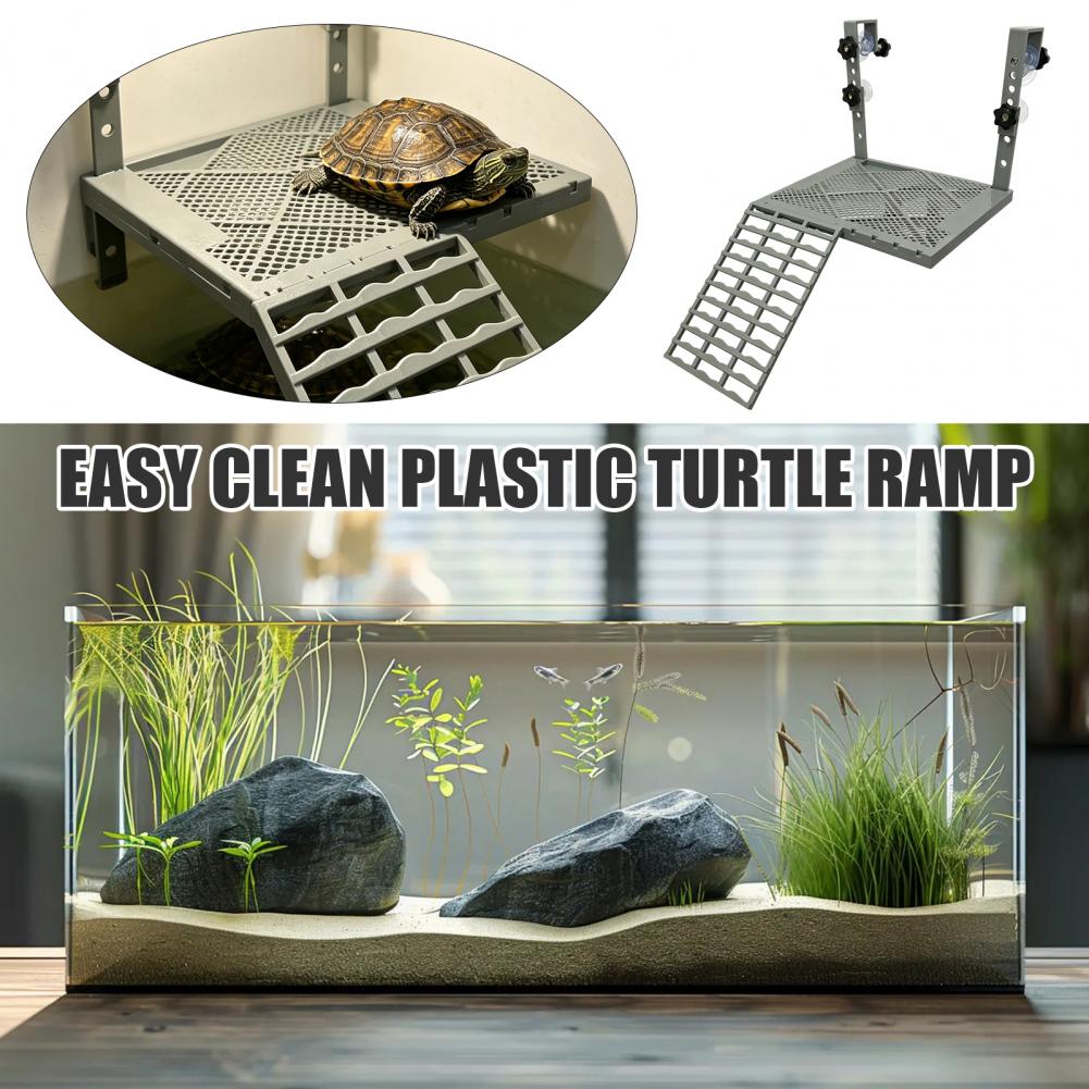 Aquarium-Dekoration: Feste Hän – Aquarium Marine Fish Bewertung und Preis