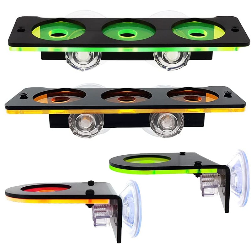 Fluoreszierende Korallen Frag  – Marine Aquarium Hobby Bewertung und Preis