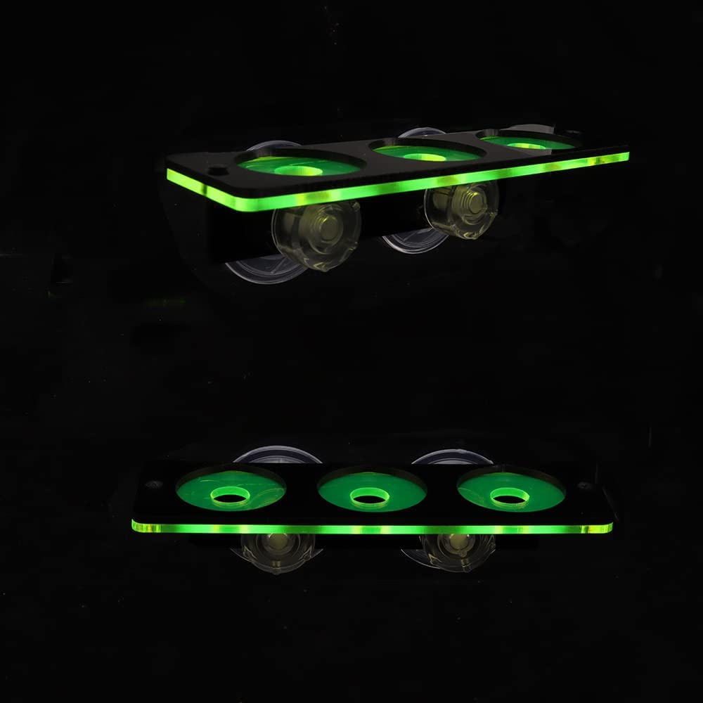 Fluoreszierende Korallen Frag  – Marine Aquarium Hobby Bewertung und Preis