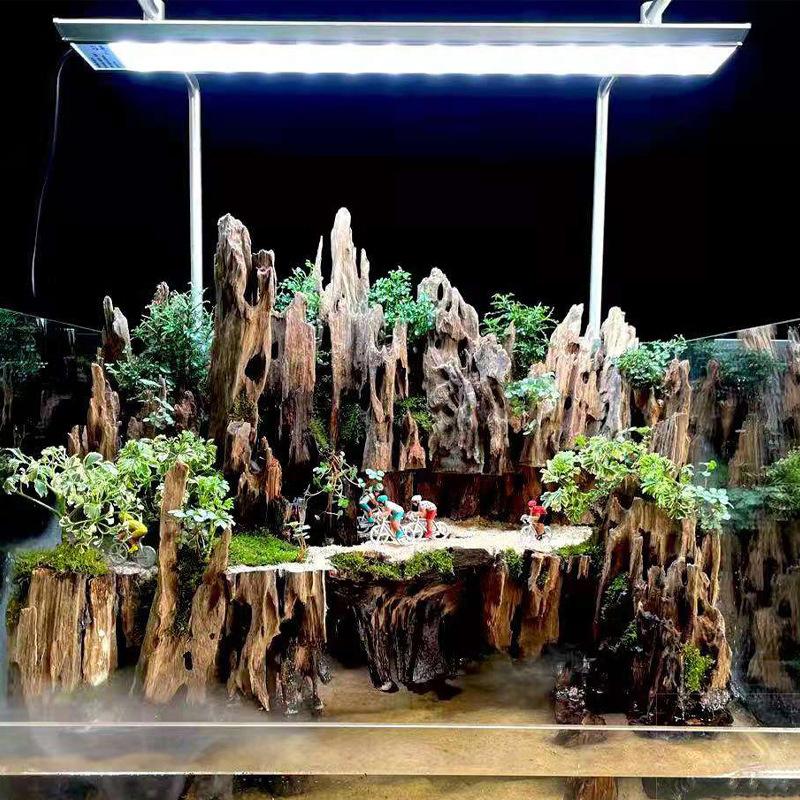 △   Krebsbaumholz-Aquariumdeko – Marine Aquarium Hobby Bewertung und Preis